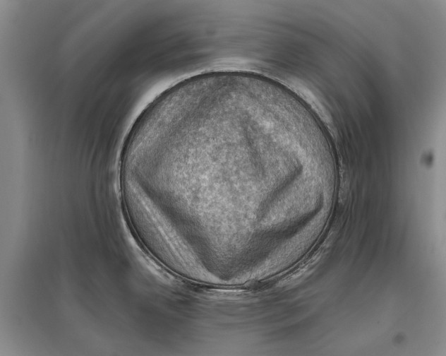 X0000096681342200802261507