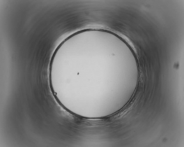 X0000096681343200802261507