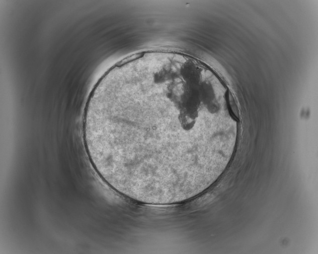 X0000096681344200802261507