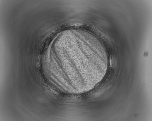 X0000096681347200802261506