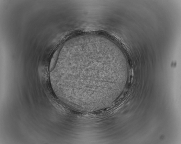 X0000096681348200802261506