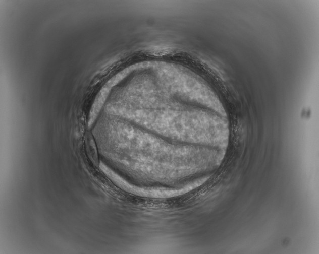 X0000096681349200802261506