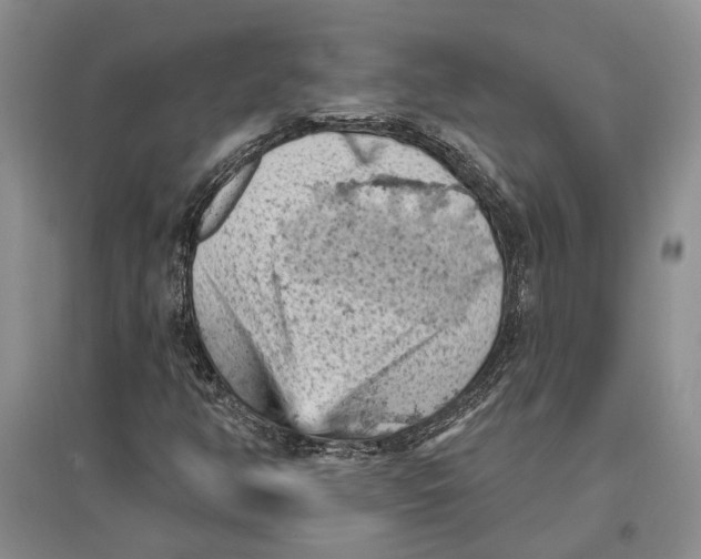 X0000096681350200802261506