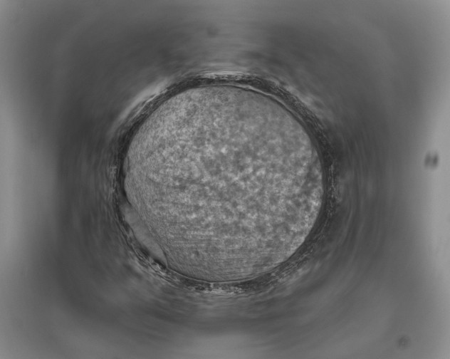 X0000096681351200802261506