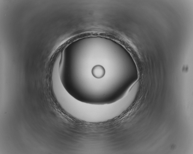 X0000096681352200802261506