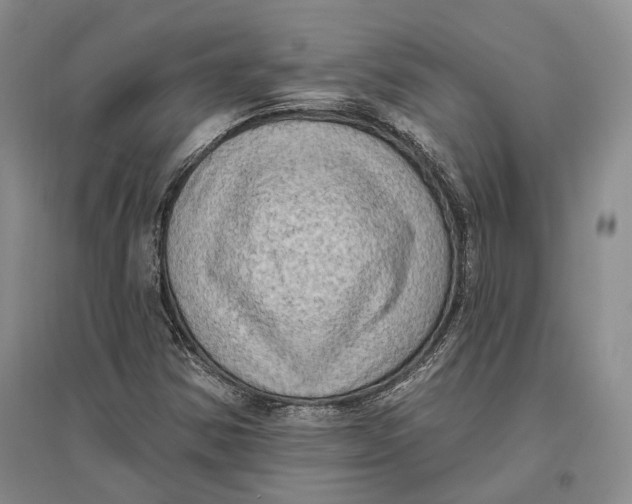 X0000096681354200802261506
