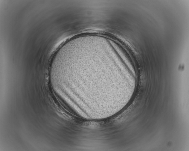 X0000096681355200802261506