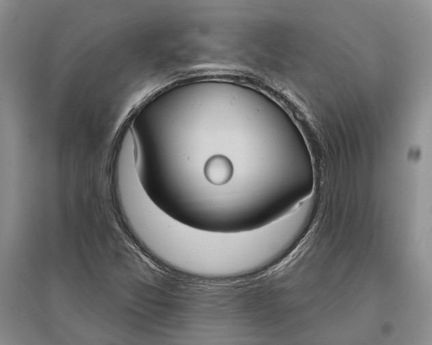X0000096681357200802261506