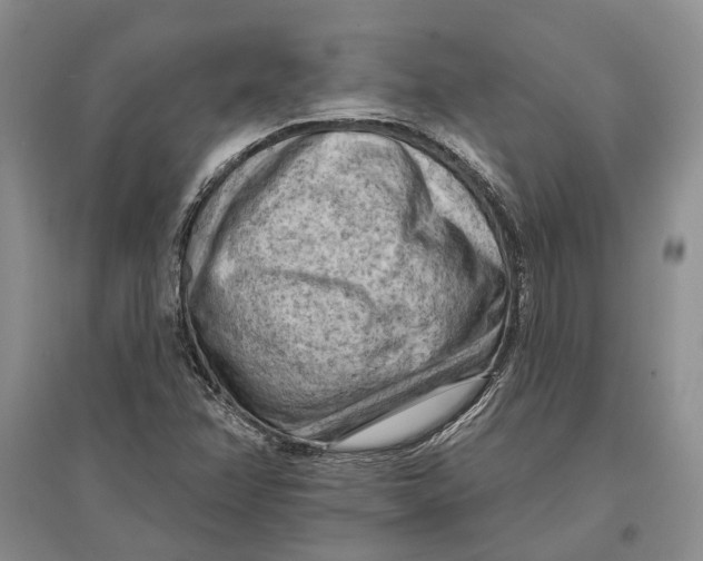 X0000096681358200802261506