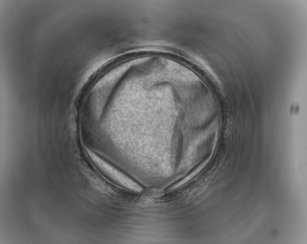 X0000096681360200802261506