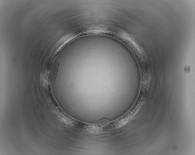 X0000096681361200802261506