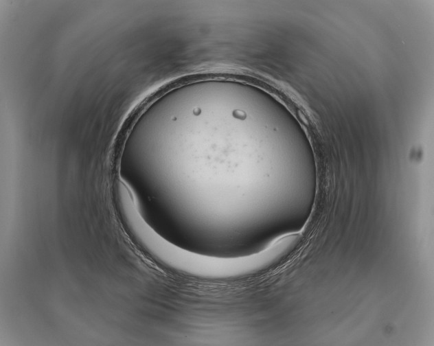 X0000096681364200802261506