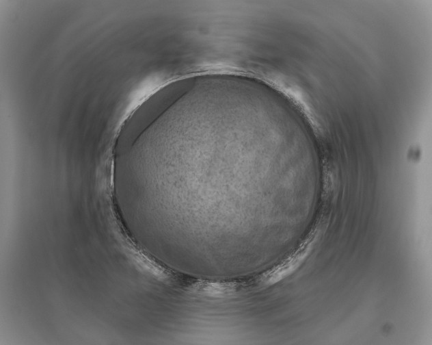 X0000096681365200802261506