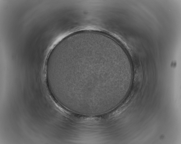 X0000096681367200802261506