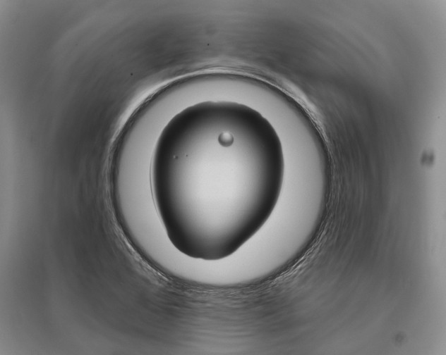 X0000096681368200802261506