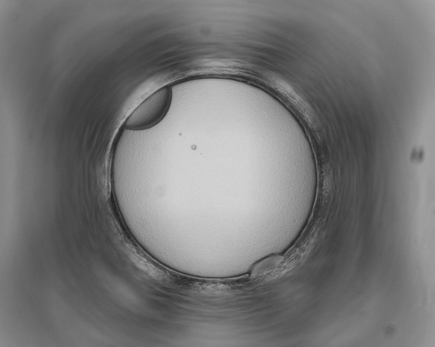 X0000096681370200802261506