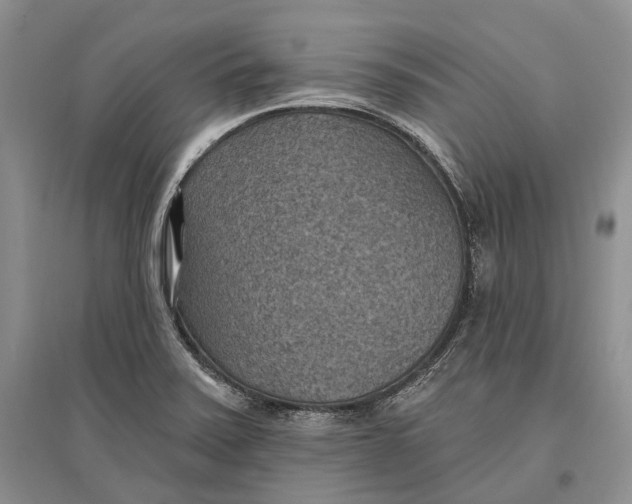 X0000096681371200802261506