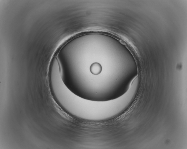 X0000096681372200802261506