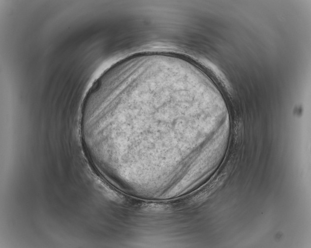X0000096681374200802261506