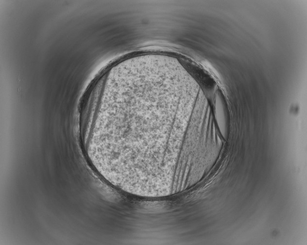 X0000096681376200802261506