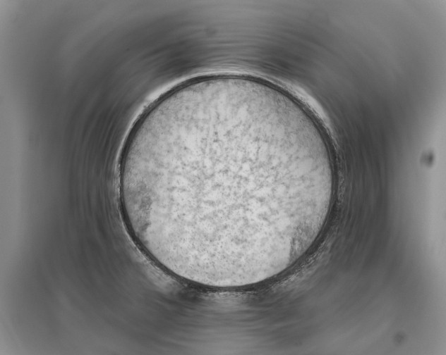 X0000096681380200802261506