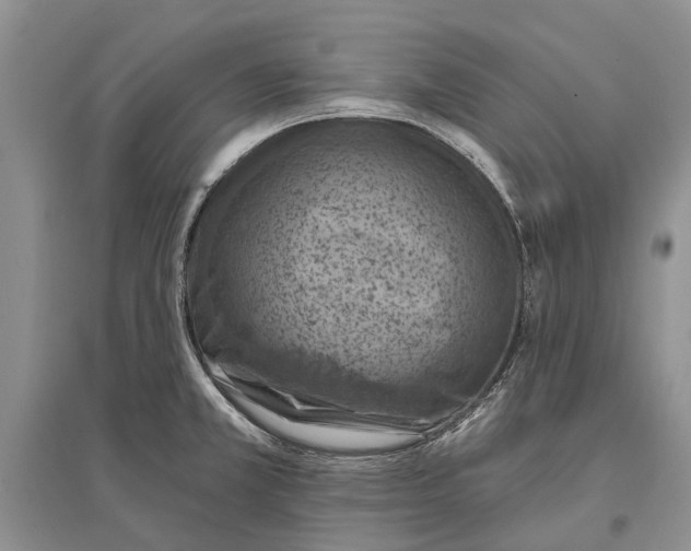 X0000096681381200802261506