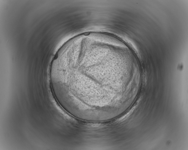 X0000096681382200802261506