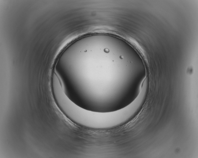 X0000096681384200802261506