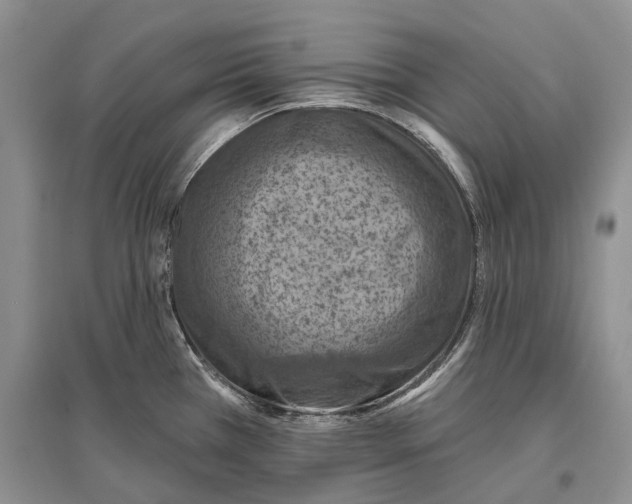 X0000096681385200802261506