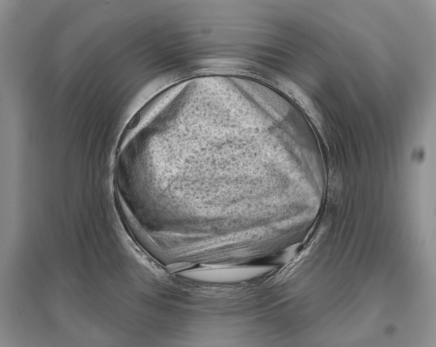 X0000096681386200802261506