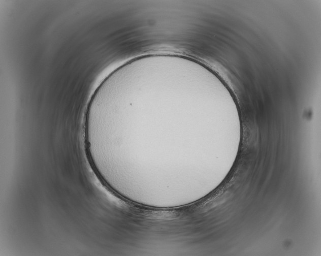 X0000096681387200802261506
