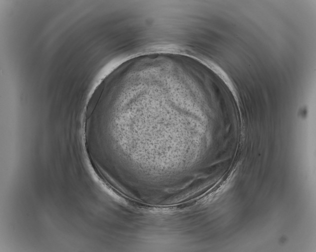 X0000096681389200802261506