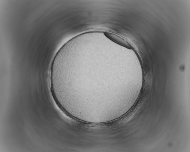 X0000096681391200802261506