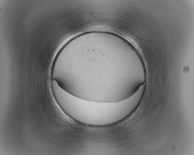 X0000096681392200802261506