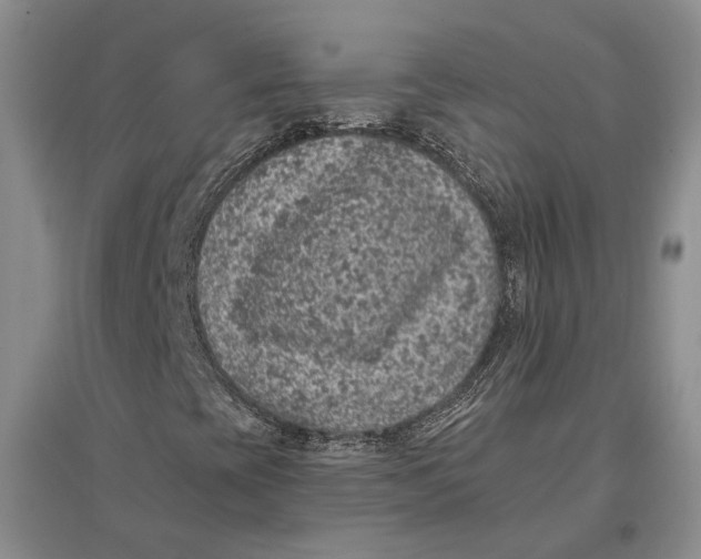X0000096681393200802261505