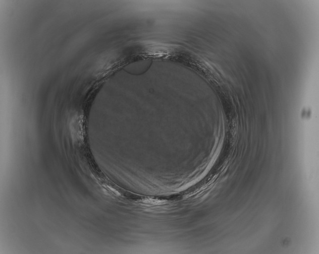 X0000096681394200802261505