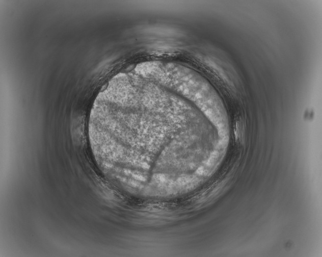X0000096681396200802261505