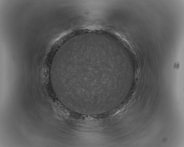 X0000096681398200802261505