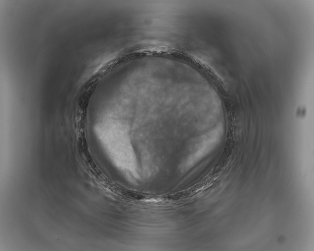 X0000096681399200802261505