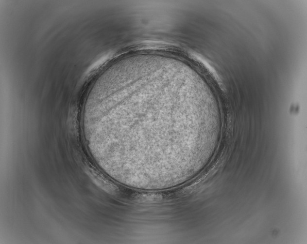 X0000096681403200802261505