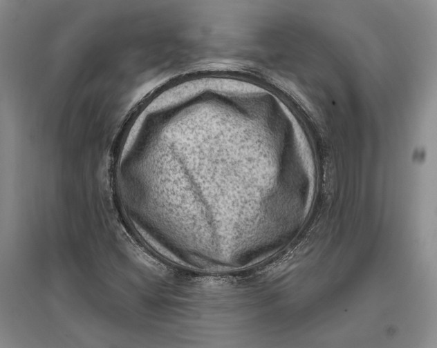 X0000096681404200802261505