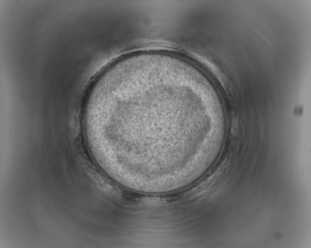X0000096681407200802261505