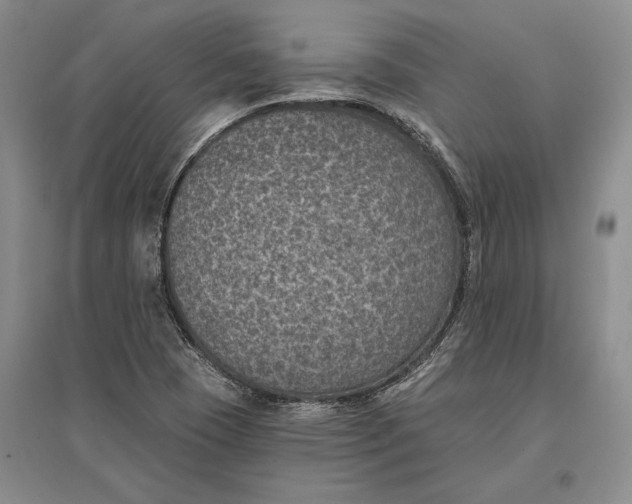 X0000096681409200802261505