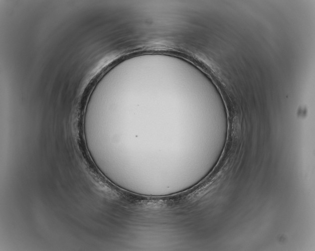 X0000096681410200802261505