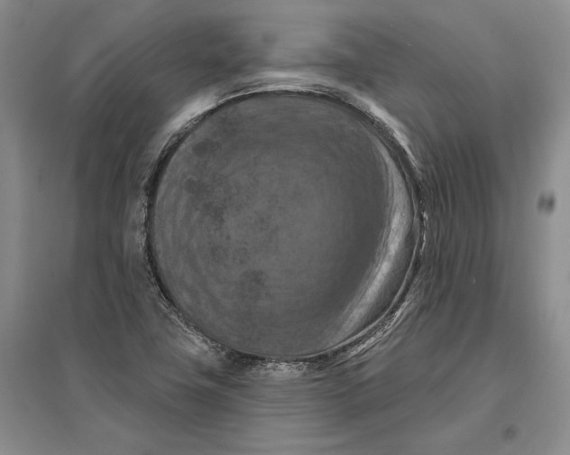 X0000096681411200802261505