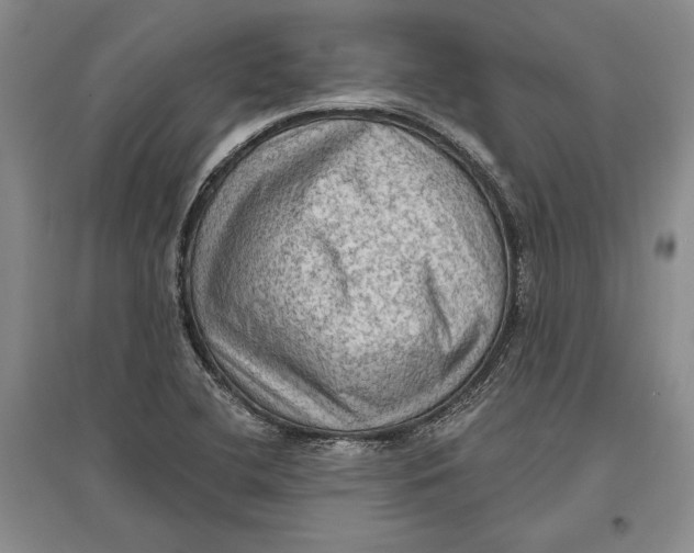 X0000096681412200802261505