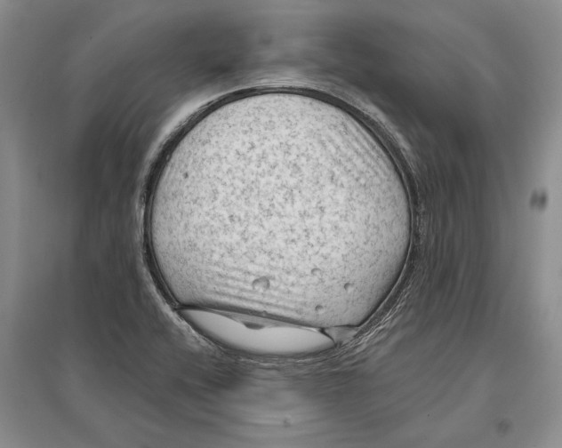 X0000096681416200802261505