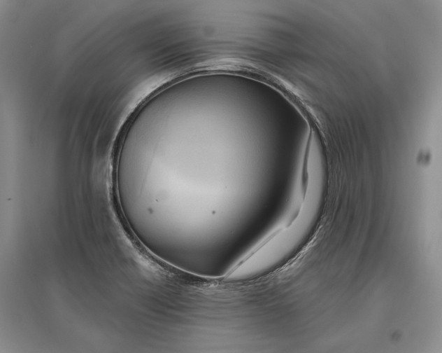 X0000096681418200802261505