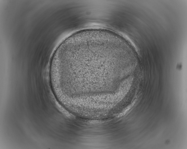 X0000096681421200802261505