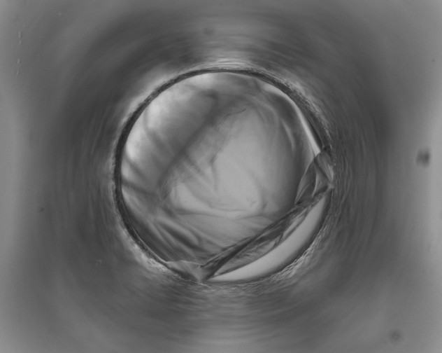 X0000096681422200802261505